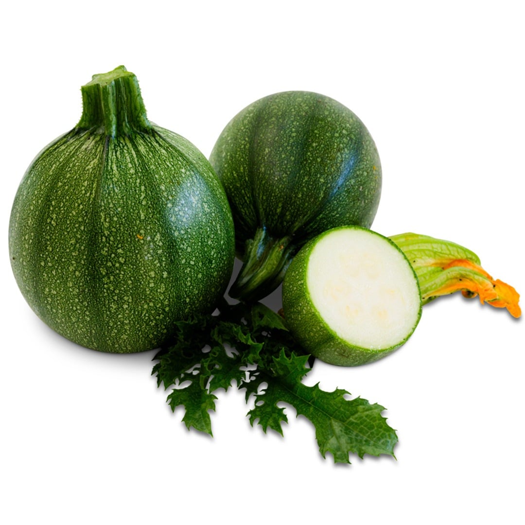 Pair of Tondo Scuro Di Piacenza Summer Squash on a white background.
