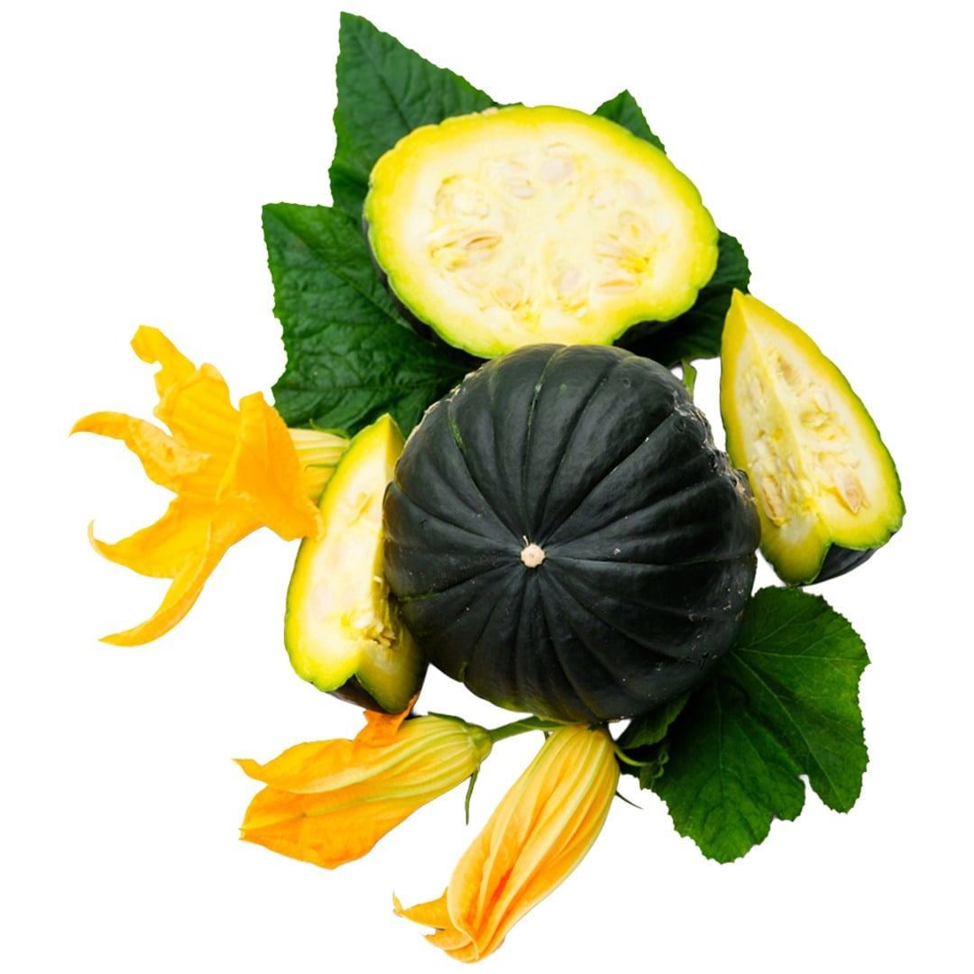 Whole and sliced Zapallito Del Tronco summer squash with foliage surround on a white background