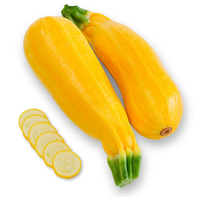 Summer Squash Seeds, Zucchini Golden
