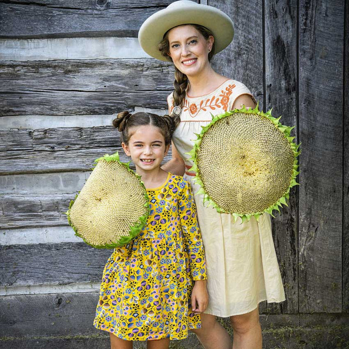 Two Mammoth Grey Striped Sunflowers are held by two gardeners in front of an old cabin.