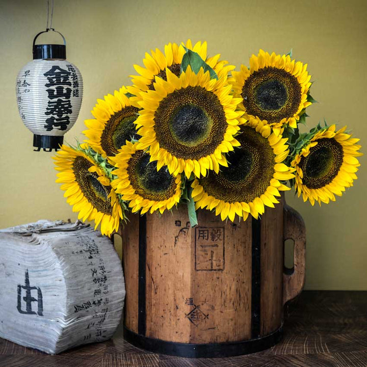 An arrangement of Taiyo Sunflowers on a large wood bucket next to an antique book and lantern.