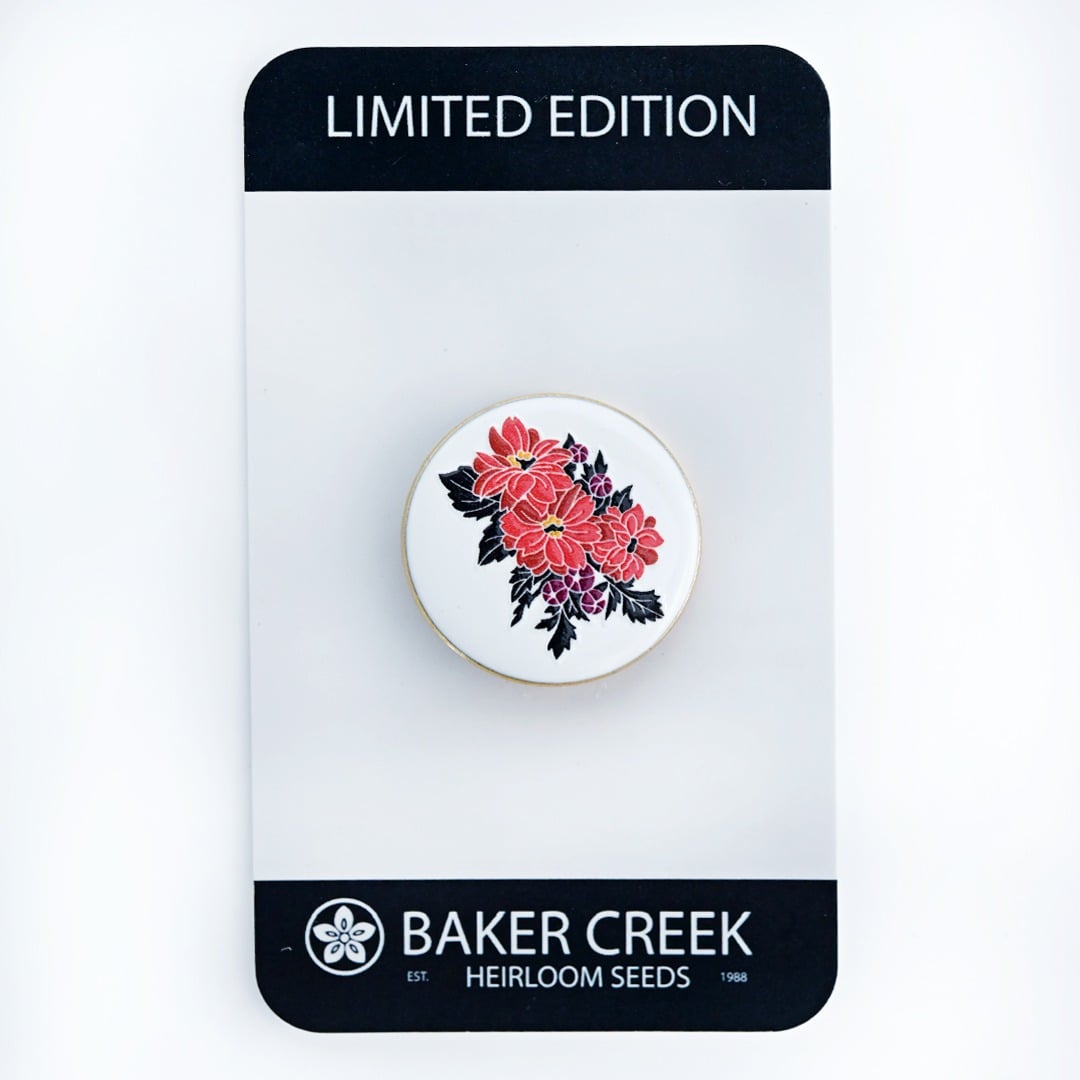 A Black Forest Ruby Dahlia Limited Edition Pin on a display card as it ships on a white background.