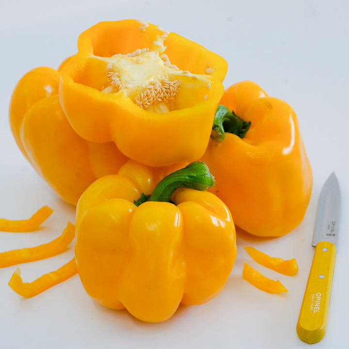 Several cut and whole Goldenmane Lion Sweet Peppers with a yellow handled knife on a white background.