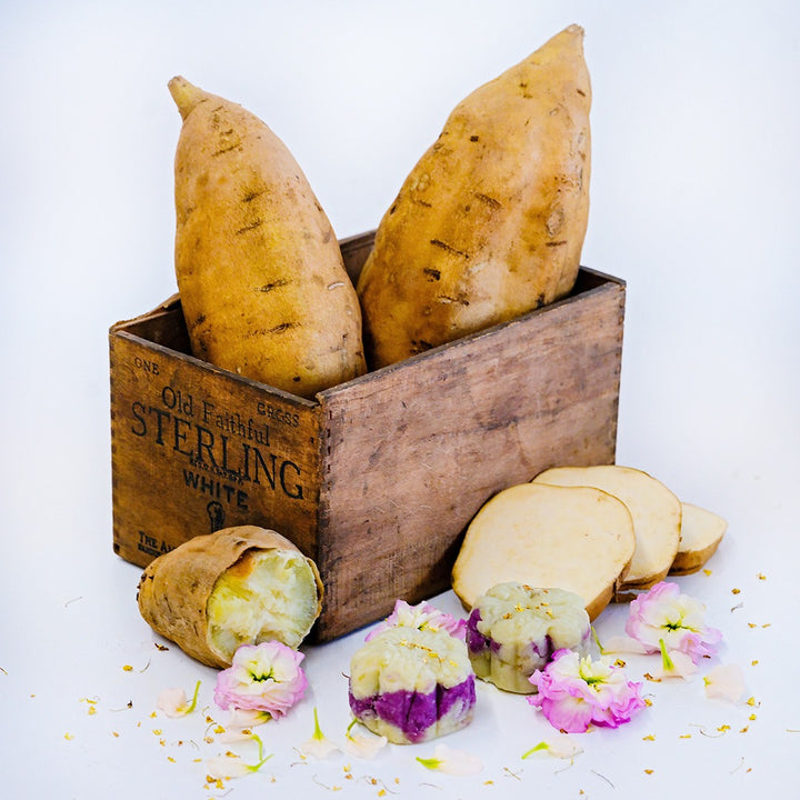 Sweet Potato Plants, Korean Gold