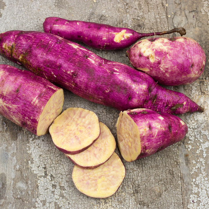 Myanmar Purple Sweet Potatoes showing pink skin with cream colored flesh on wooden background.