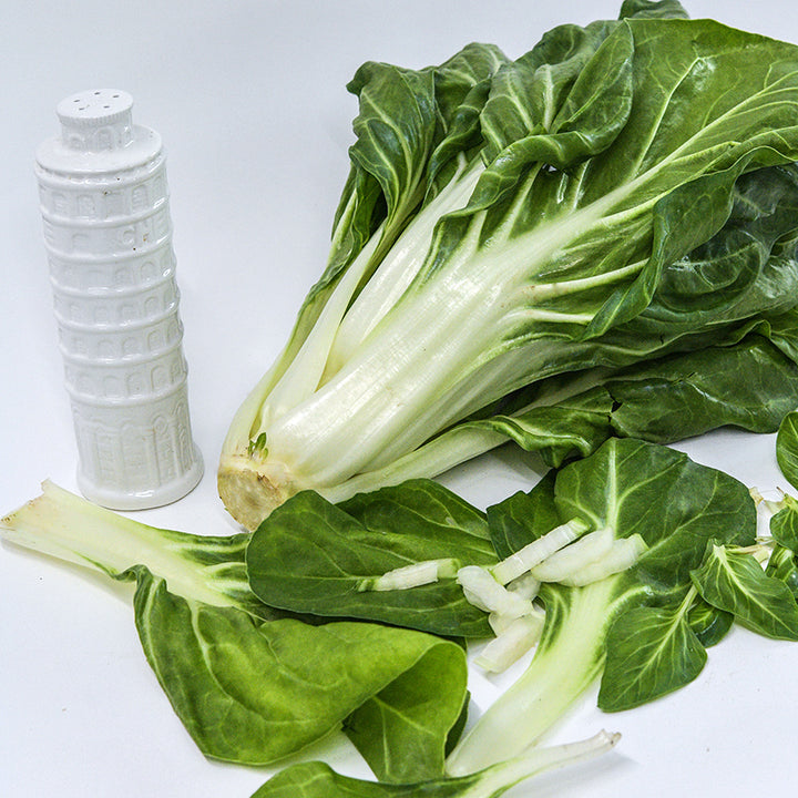 A head of Barese Swiss Chard with leaves and a Leaning Tower of Pisa ceramic cheese container.