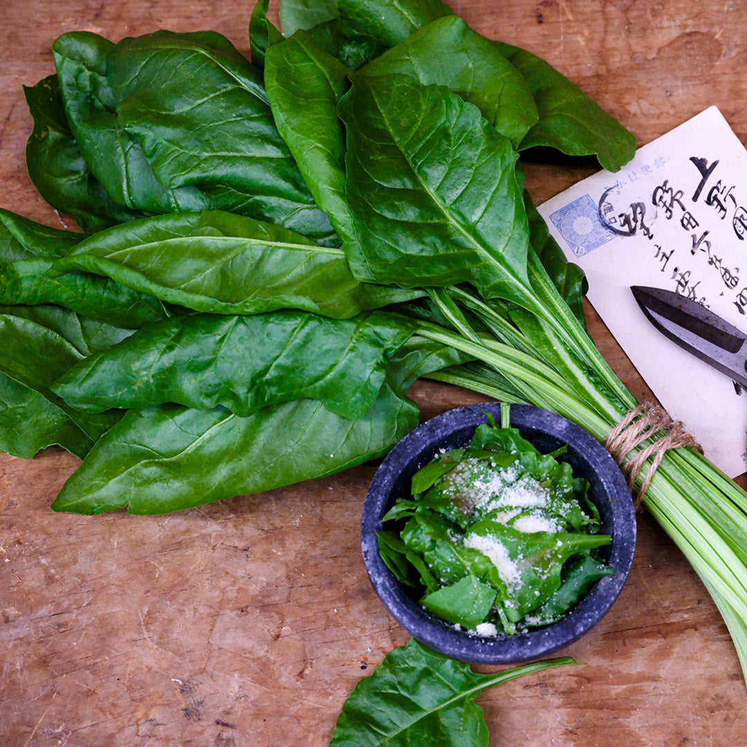 A bundle of Japanese Mountain Spinach leaves with a salad and Japanese postcard on wood.