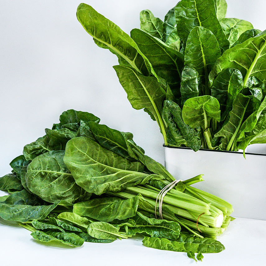 A couple of bundles of Perpetual Spinach Swiss Chard on bright white background.