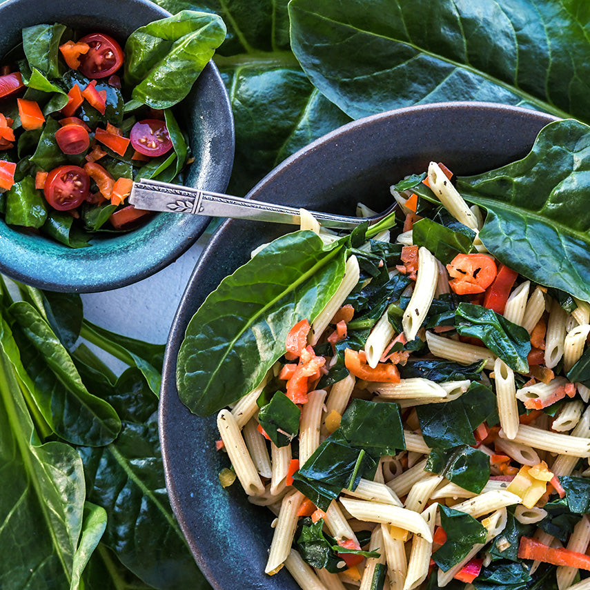 A cold pasta salad and a regular salad made with Perpetual Spinach Swiss Chard.