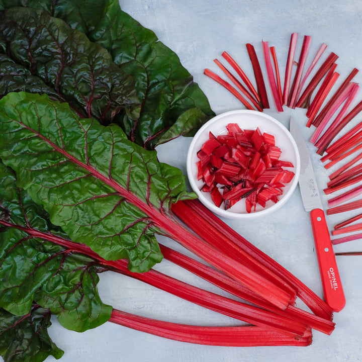 Vulcan Swiss Chard with cut bright red stems arranged around and in a bowl on a light background.