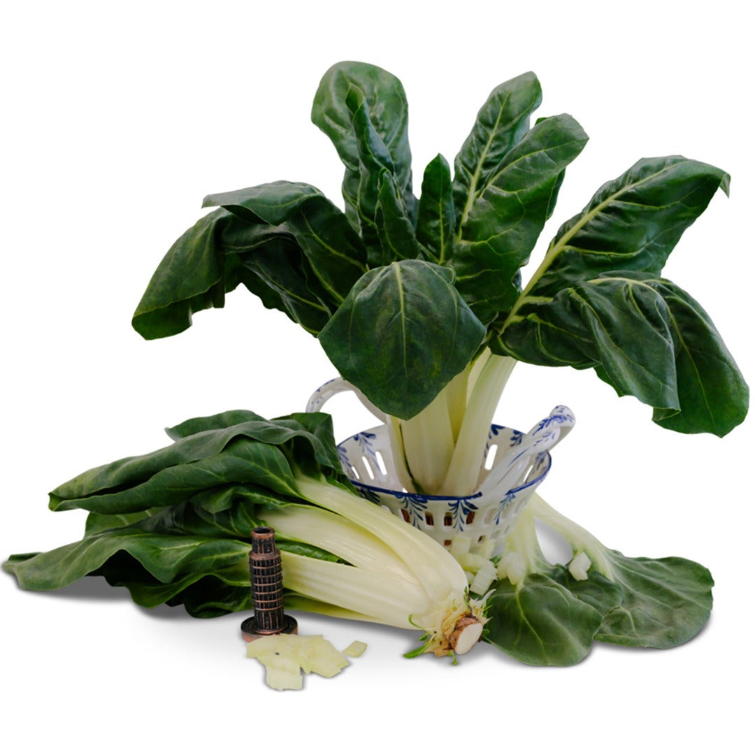 Barese Swiss Chard arranged on a white background.