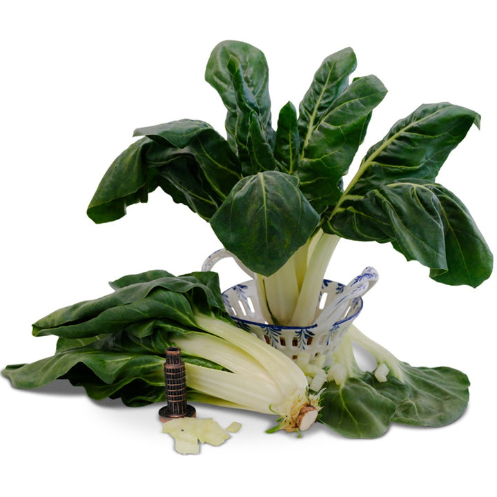 Barese Swiss Chard arranged on a white background.