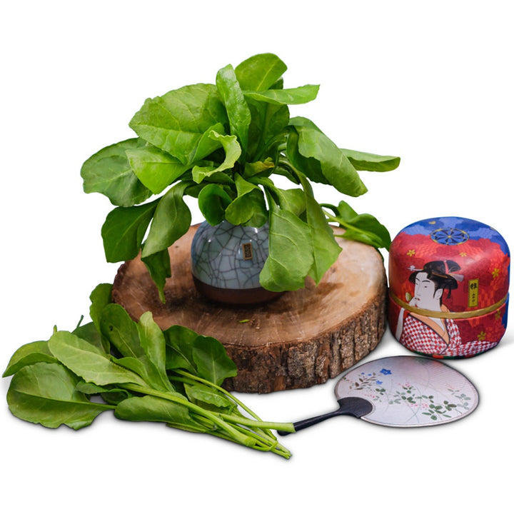Japanese Mountain Spinach Swiss Chard on a wood slice with Japanese decorations on a white background.