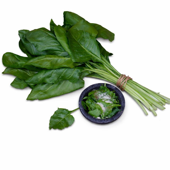 Japanese Mountain Spinach Swiss Chard bundle on a white background.