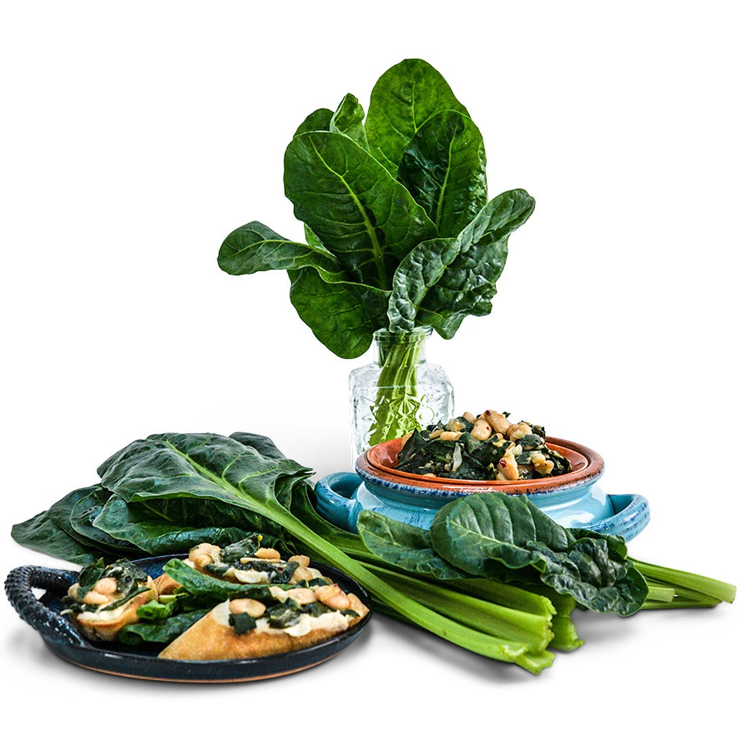 Perpetual Spinach Swiss Chard arranged with two plates of sauteed spinach on white background.
