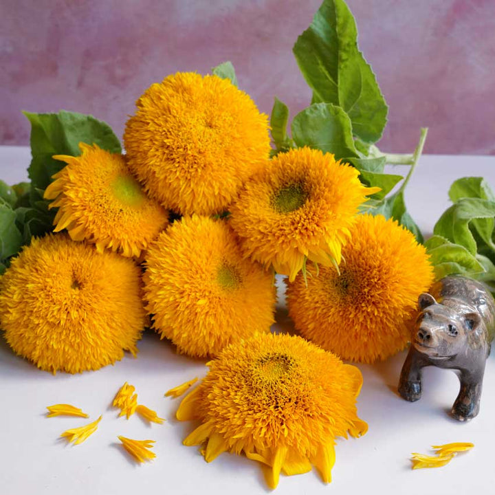 Teddy Bear Sunflowers on a white table with a bear figurine.