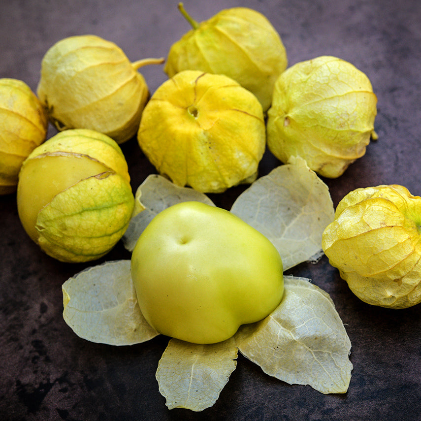 Amarylla Tomatillo fruit with husks on a brown background.