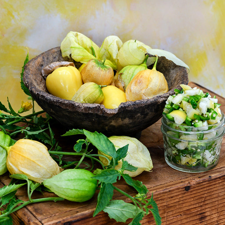 Chupon de Malinalco Tomatillos in a wooden bowl surrounded by fruit on the vine and salsa.