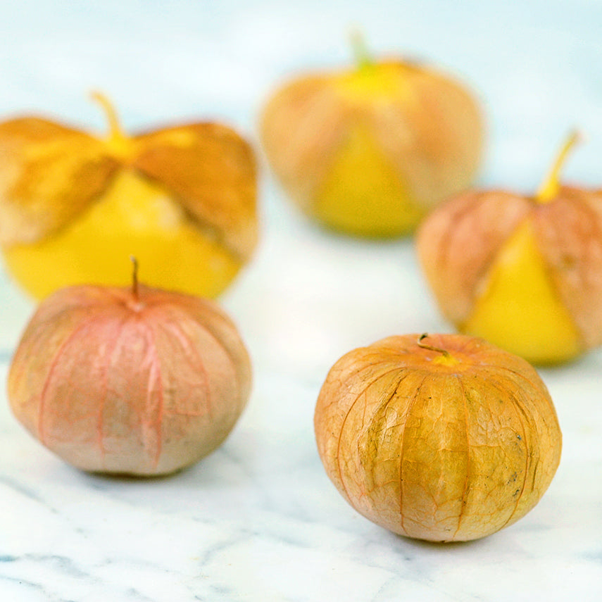 Five Amarylla Tomatillo fruit with husks on a white marble background.