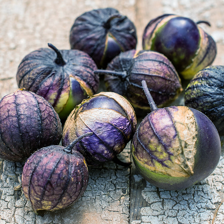 Purple Coban Tomatillos arranged on an old wooden background.