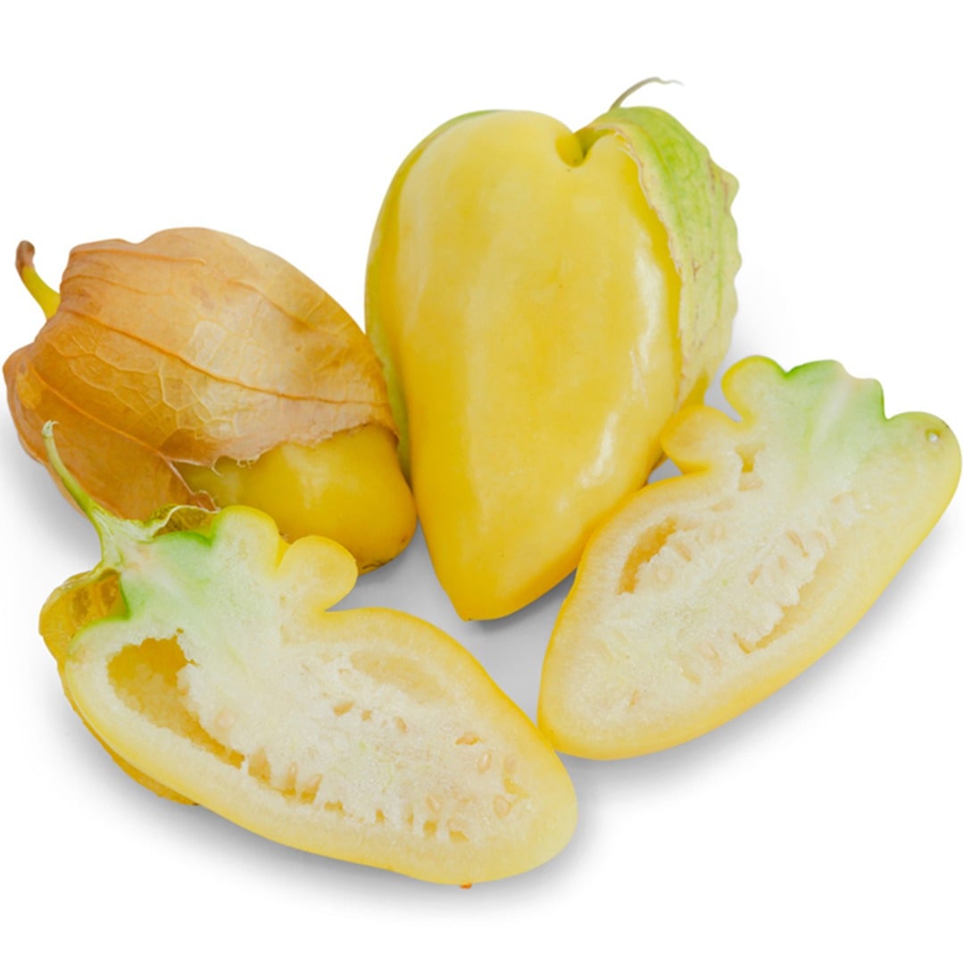 Trio of Chupon de Malinalco Tomatillos on a white background.
