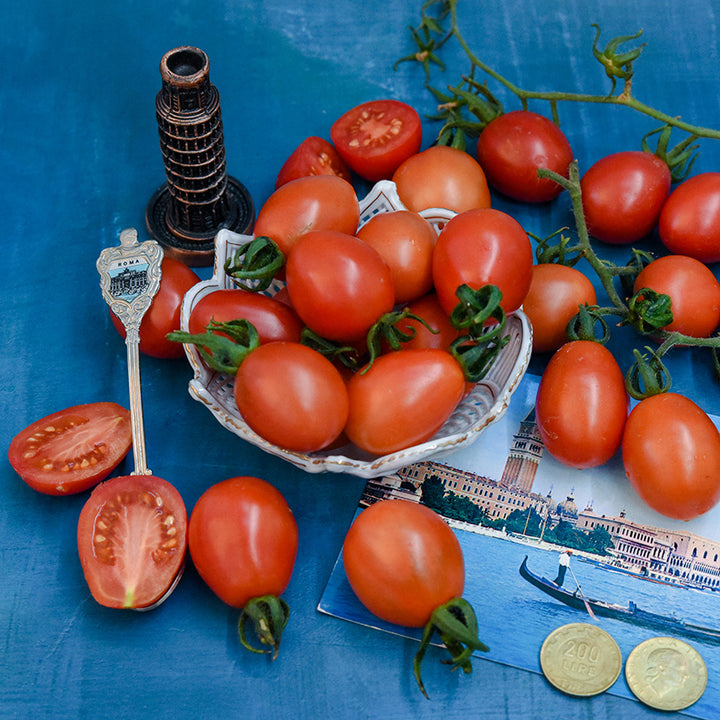 A Grappoli D'Inverno Tomatoes with Italian props on blue background.