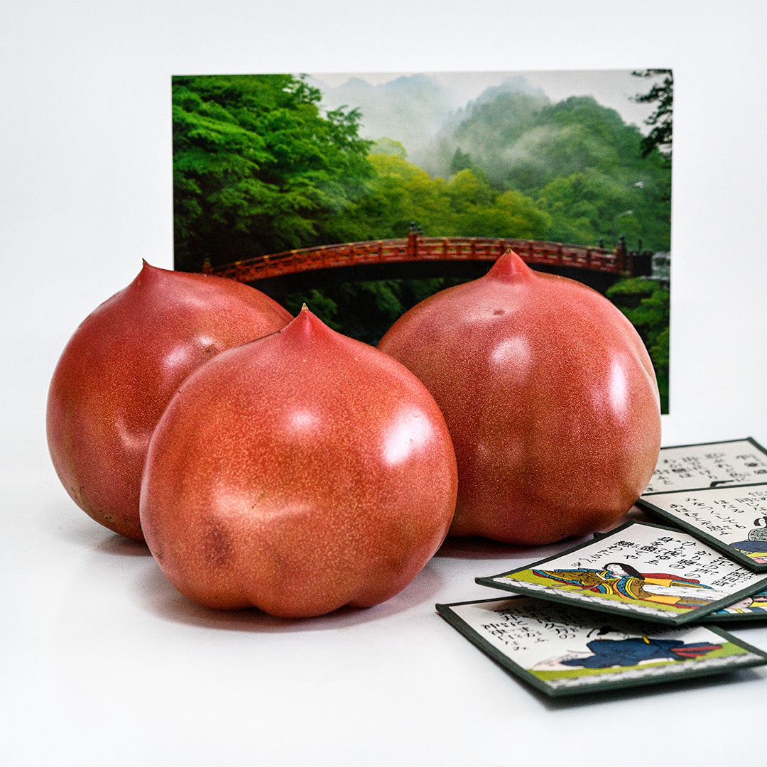 A trio of Aichi First Tomatoes with props from Japan on a white background.