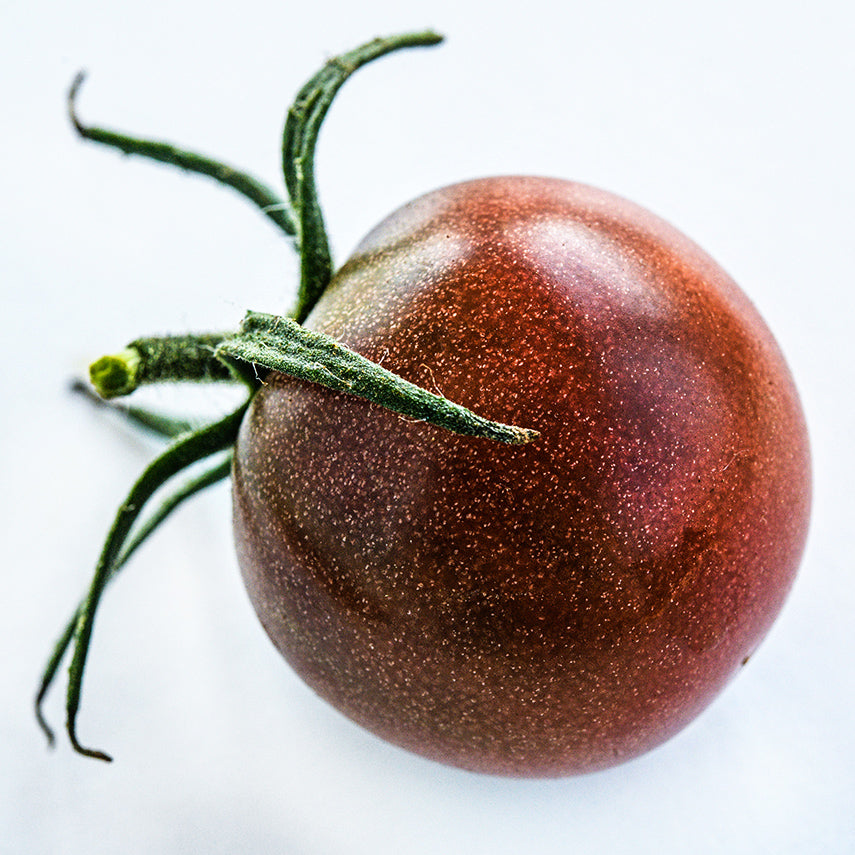 A single Black Cherry Tomato showing the tiny gold fleck details on the skin.
