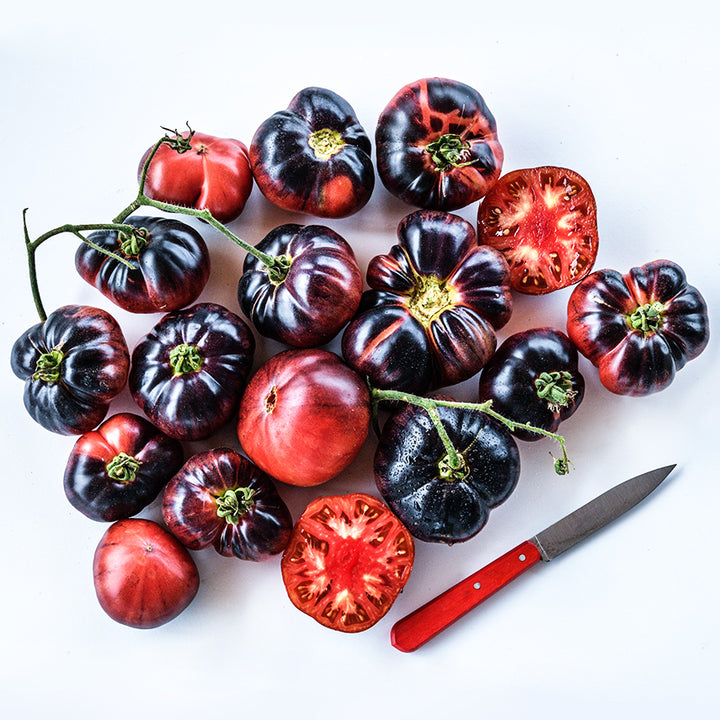 About a dozen and half Blue Beauty Tomatoes arranged on a white background.