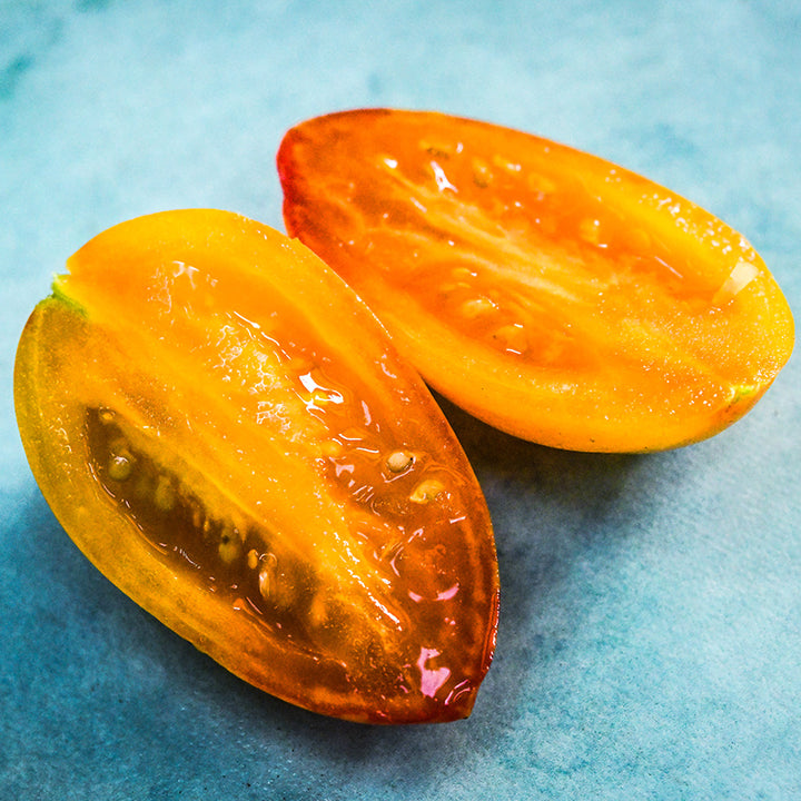 A close-up of a cut Tiger Blush Tomato on light blue background.