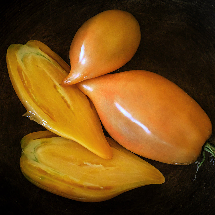 Buratino or Pinocchio Tomatoes nestled in a wooden bowl.