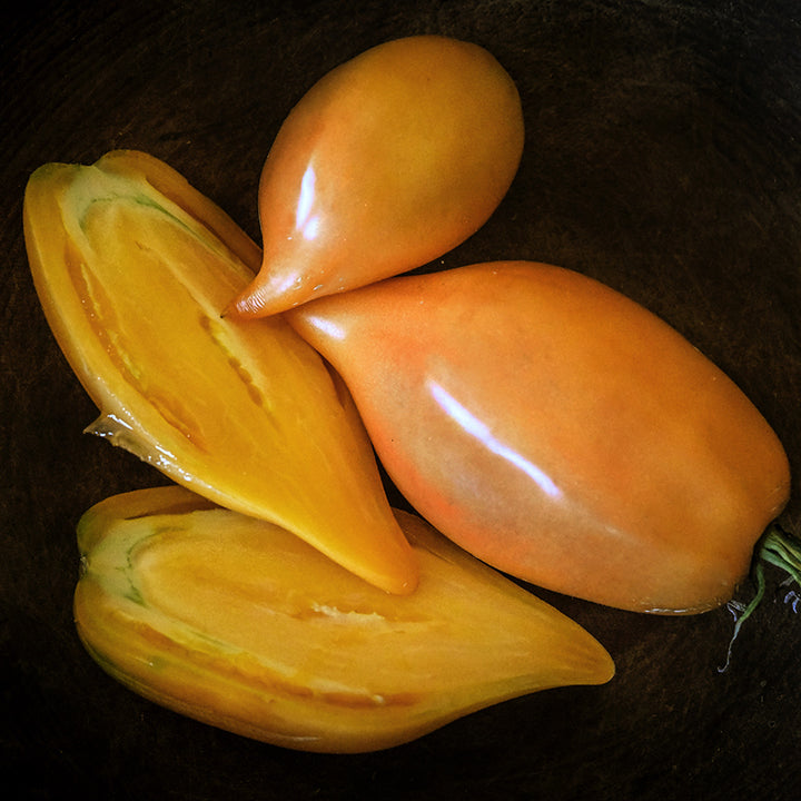 Buratino or Pinocchio Tomatoes nestled in a wooden bowl.
