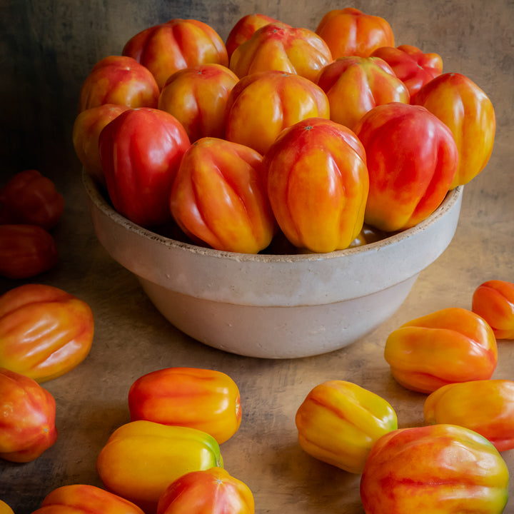 California Tulip Tomatoes arranged in bowl on a brown background.