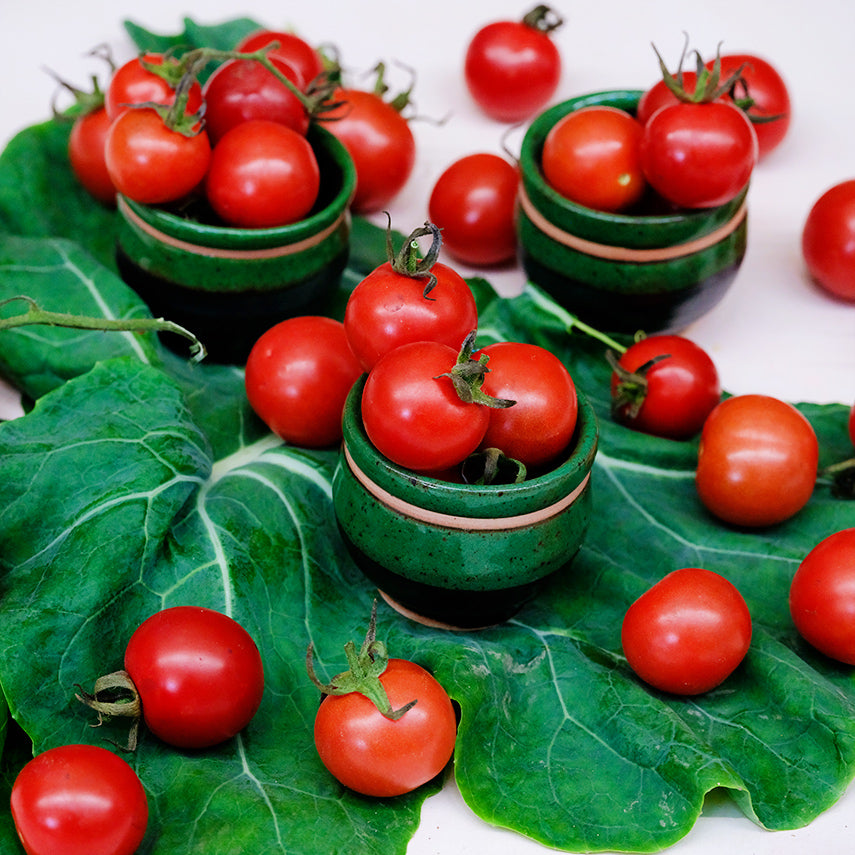 Bright red Chadwick Cherry or Camp Joy Tomatoes in green bowls on green leaf.