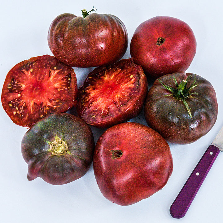A half dozen Cherokee Purple Tomatoes with a purple handled knife on a white background.