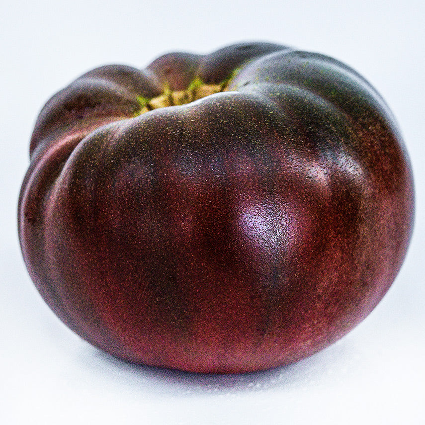 A single Cherokee Purple Tomato on white background.