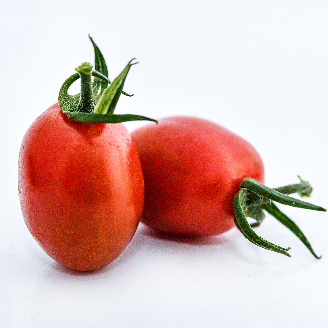 A pair of Cherry Flaviola Tomatoes on a white background.
