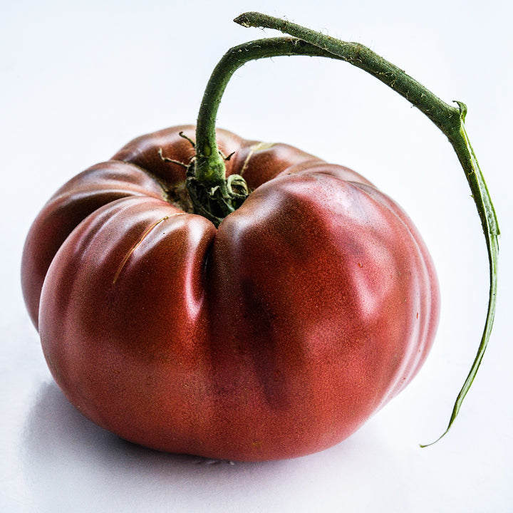 Side view of one Chocolate Miracle Tomato on a white background.