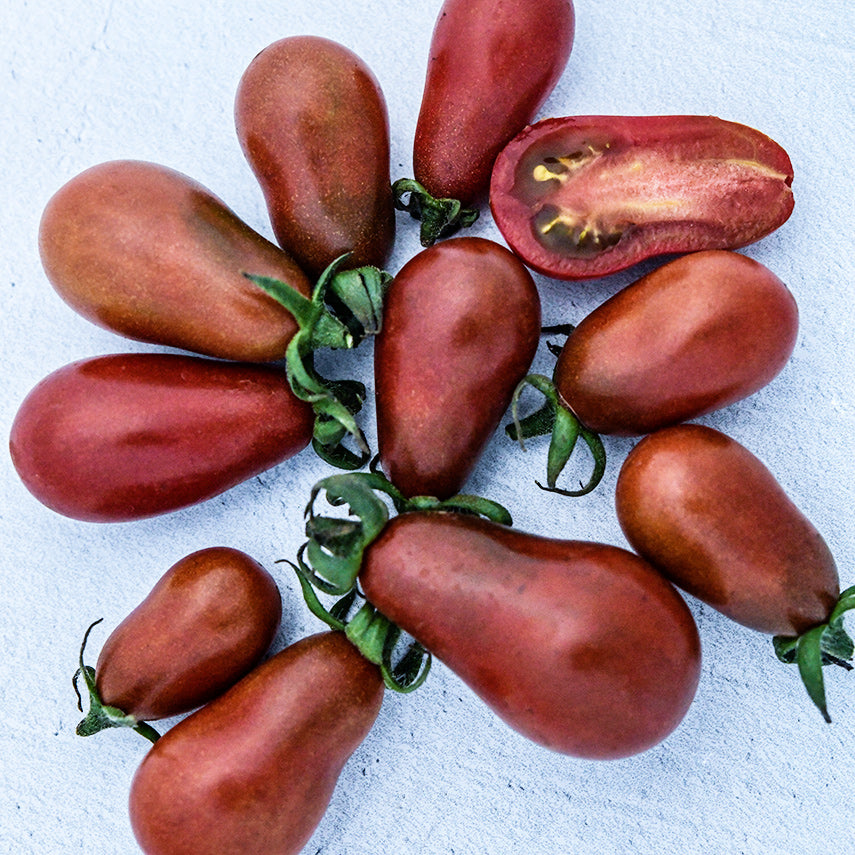 A handful of almost a dozen Chocolate Pear Tomatoes on a light background.