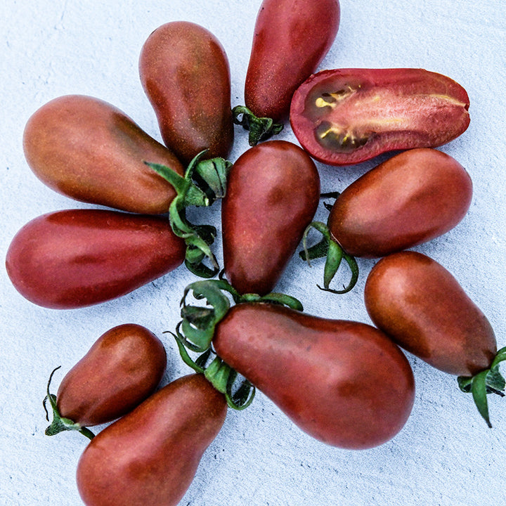 A handful of almost a dozen Chocolate Pear Tomatoes on a light background.