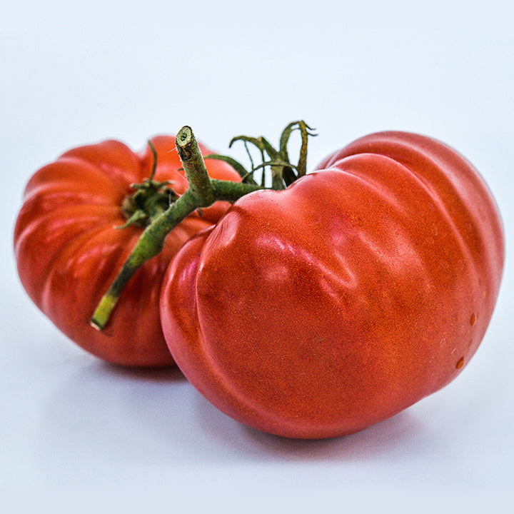 A side view perspective of Two Classic Beefsteak Tomatoes on white background.