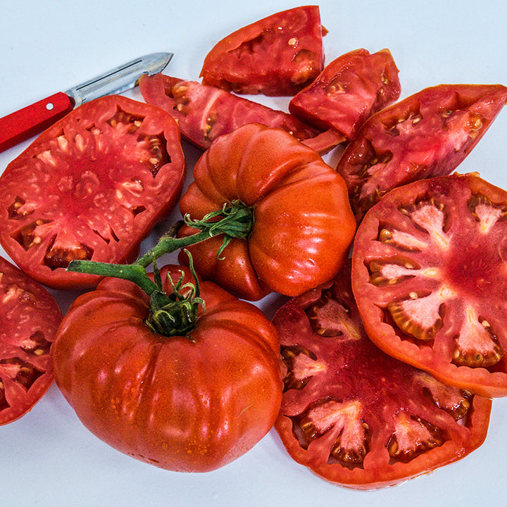 Cut and whole Classic Beefsteak Tomatoes with a red handled knife on white background.