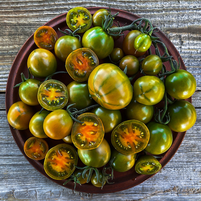 A bowl full of Evil Olive Tomatoes on wood. Image by Lucy Hutchins.