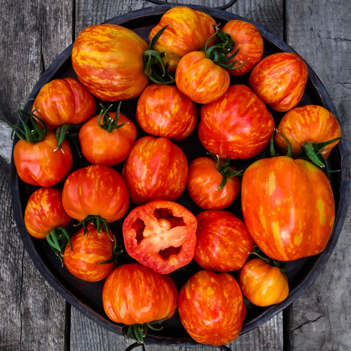 A platter full of Get Stuffed Tomatoes on wood background. Image by Lucy Hutchins.