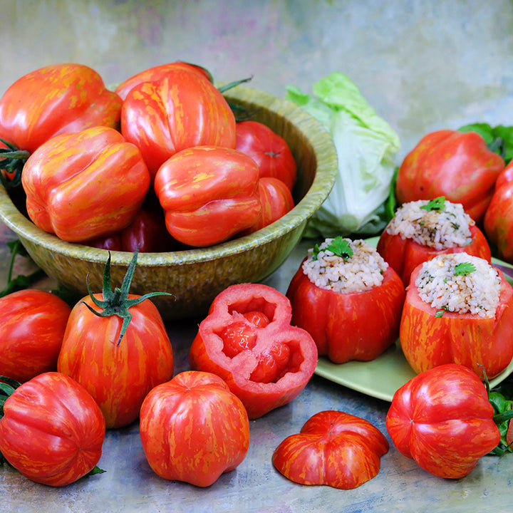 Get Stuffed Tomatoes in a bowl with stuffed tomatoes on light background.