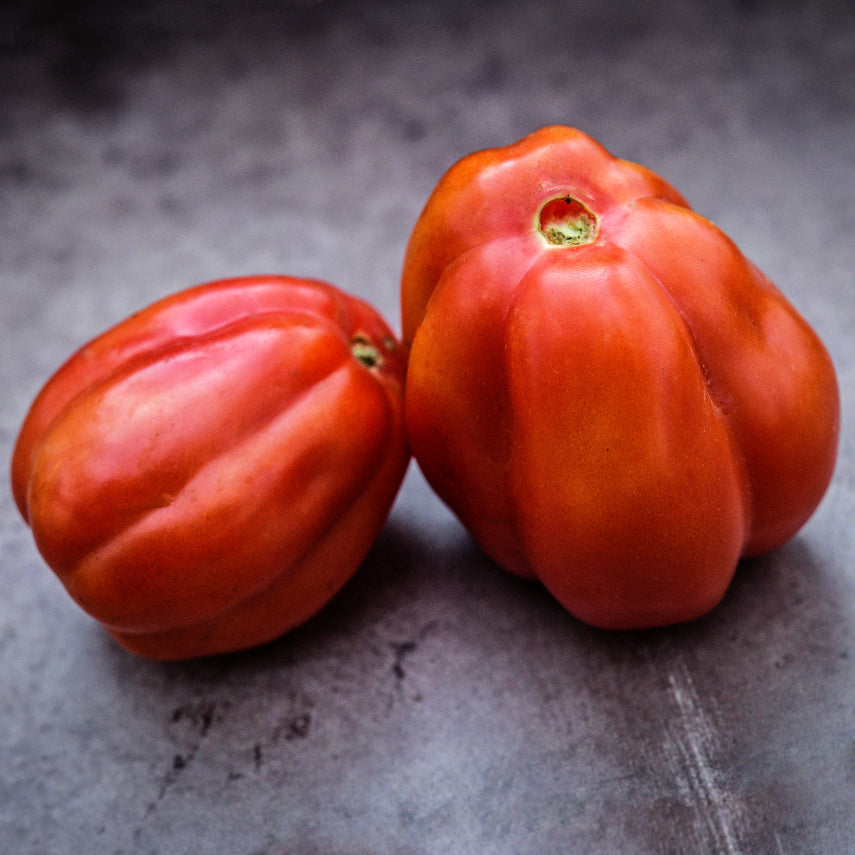Close-up of two whole Gezahnte Tomatoes on a scratched metal background.