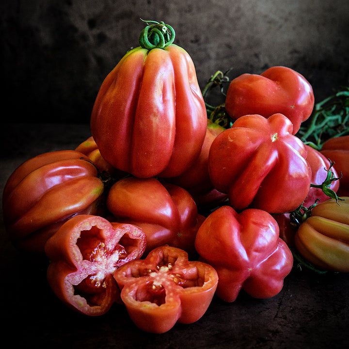 A side view of and arrangement of Gezahnte Tomatoes on dark brown background with dramatic side lighting.