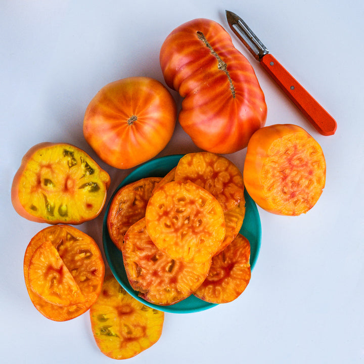 Huge Gold Medal tomatoes sliced and whole on a bright blue plate with a peeler.