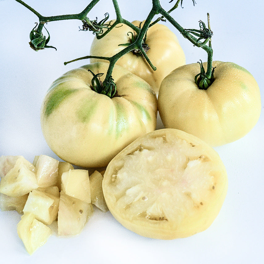 Sliced, chopped and whole Great White Tomatoes with some still on the vine against a white background.
