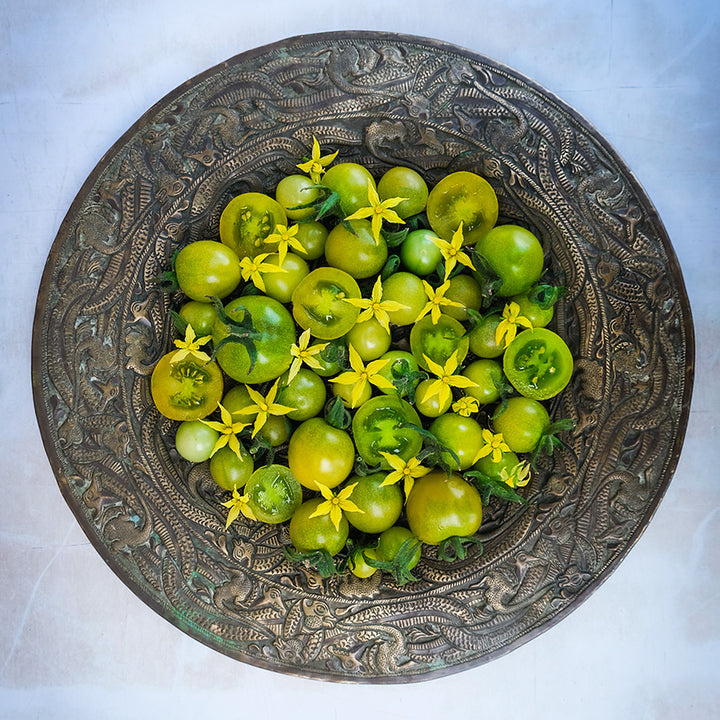 An antique platter full of Green Doctors Tomatoes with blooms on a pale blue background.